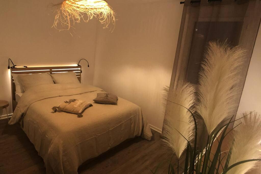 Appartement, Confort, Parking, Terrasse