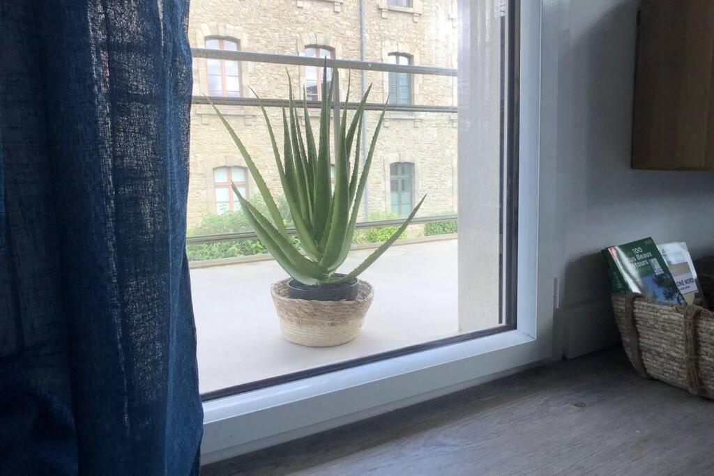 Appartement, Confort, Parking, Terrasse *